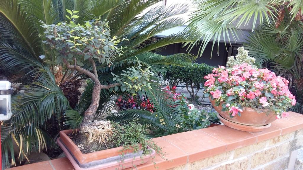 B&B Mirella Читта Сань Анджело Экстерьер фото
